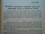 1927 г. Экономическое обозрение № 1 Нефтяной империализм 240 стр. Тираж 3200 (4455), фото №8