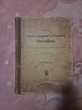 К.Гюнтер Атлас 1909 рік, фото №2