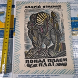 Андрій Німенко "Понад плаєм плаї" 1969, фото №2