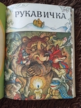 Переплет из 13 книжек, ох, рукавичка, курочка ряба, котигорошко, конволют, фото №7