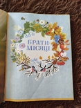 Переплет из 13 книжек, ох, рукавичка, курочка ряба, котигорошко, конволют, фото №9