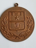 Медаль Почетный гражданин города Волгограда, фото №3