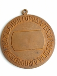 Медаль Почетный гражданин города Волгограда, фото №4