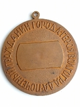 Медаль Почетный гражданин города Волгограда, фото №2