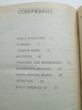 Древо тем. Георгий Гуревич. БСФ. 1991г. Фантастика., фото №9