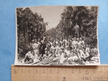 1940 Крим Никітський ботсад групове, фото №2