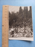 1940 Никітський сад Крим групове, фото №2