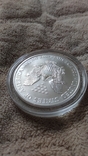 Шагающая свобода, серебро, эмаль 1999, фото №4