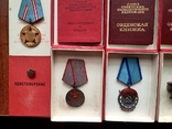 Медаль Орден Знак. Комплект на одного, фото №12