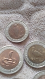 Монеты ,,Красная книга,, в лоте 5 монет 1991-1992 годов, фото №8