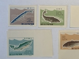 Серия марок Рыбы Корея 1966г, фото №3