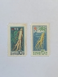 2 марки Флора Корея 1961г, фото №2