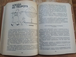 Кулинария ( блюда из мяса рыбы, кондитерские изделия и пр.), фото №5