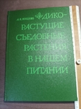 Дикорастущие съедобные растения в нашем питании 1980, фото №2