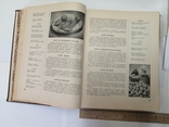 1954 . Книга о вкусной и здоровой пище., фото №6