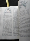 Анатомия человека 2 том 1985, фото №10