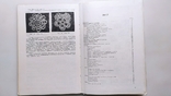 Техніка в'язання крючком. Н. М. Кульська-Крвченко "Техніка" 1977 рік., фото №11