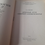 Археология СССР Античные бусы северного причерноморья 1982, фото №5