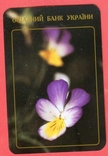 Флора квіти банк, фото №2