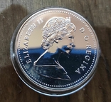  Канада 1 доллар 1989 г. Серебро. Река Маккензи., фото №3