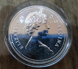Канада 1 доллар 1980 г. Серебро. Арктические территории. Медведь., фото №3