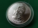 Канадский Кленовый Лист 2024. 5 Долларов. Серебро 999 (2), фото №5