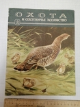 1959. Палітурка журн. "Охота и охотничье хозяйство" №5 1959. На запасні частини., фото №2