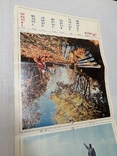 1972.Перекидний календар Мальовнича Україна., фото №8