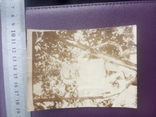 Фотография девочки в плане без трусиков на дереве, фото №2