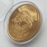 Пам`ятна монета 10 гривень ССО ЗСУ Позолота 999 проба, фото №10
