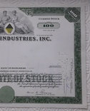 Сертифікат мережі дисконтних магазинів США 1969 року на 100 акцій, фото №6