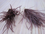  Довгі сережки з пір'ям страуса сережки зі страусиного пера, фото №5