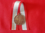Колодка на четыре медали + бонус, фото №9