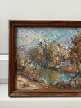 Painting by the Honored Artist of Ukraine Andrey Nekrasov, River in an autumn outfit., photo number 3