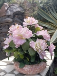Цветок Букет хризантем, фото №3