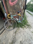 Спортивний професійний велосипед Alloy 7000 Bianchi pro, numer zdjęcia 3