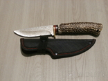 Нож для охоты,рыбалки и туризма Damascus 21 см,рукоять из кости,лезо Дамаск з чехлом, numer zdjęcia 2