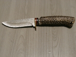 Нож для охоты,рыбалки и туризма Damascus 21 см,рукоять из кости,лезо Дамаск з чехлом, фото №4