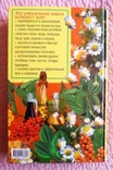 Полная энциклопедия народной медицины. Составитель А.В.Маркова, фото №13