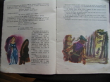 The Snow Maiden and Other Fairy Tales The Brothers Grimm 1993 drawing Nardini, photo number 6
