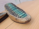 Крокодилья кожа Roberto Cavalli 42.5 cт.27.5см, фото №5