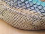 Крокодилья кожа Roberto Cavalli 42.5 cт.27.5см, фото №7