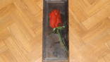Картина =роза=написана  на доске, фото 1
