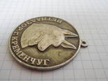 Медаль Ветнадзор г.Кременчуг, фото №4