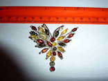 Бабочка с янтарем, фото №2