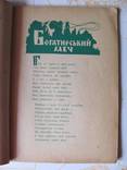 Хлопці з зеленого бору . Мюнхен 1948 р., фото №5