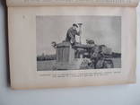 1954 Сельское хозяйство МТС Кингисепп Опыт работы, фото №9