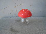 Бутылочка грибочек, фото №2
