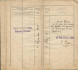 Украина 1910 Австро-Венгрия Рабочий паспорт Штамп о присвоении советской пенсии в, фото №5