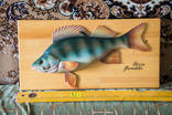 Продам рыбу "Persa Flusiatilis" ручная работа, красота, как живая, фото №2